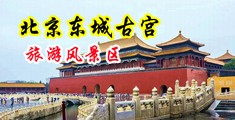 粗暴大黑鸡巴视频中国北京-东城古宫旅游风景区